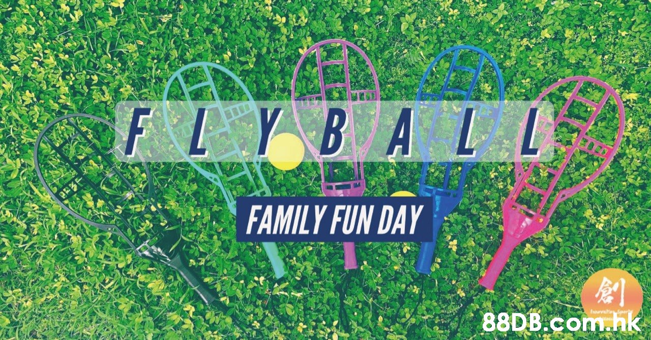 F L Y BALL FAMILY FUN DAY .hk  Green,Text,Grass,Font,Plant