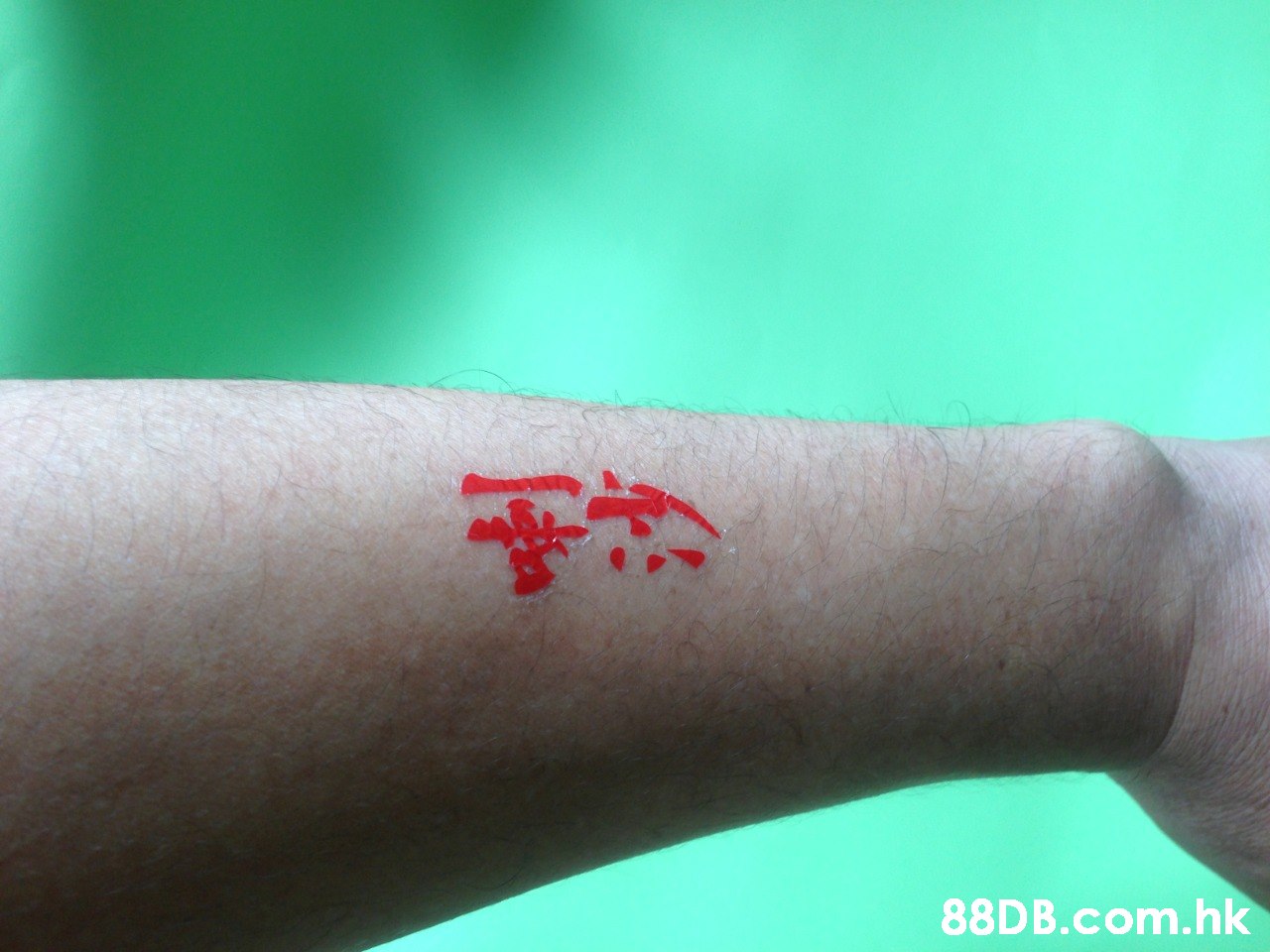 88D B.com.hk  Skin,Joint,Arm,Finger,Hand