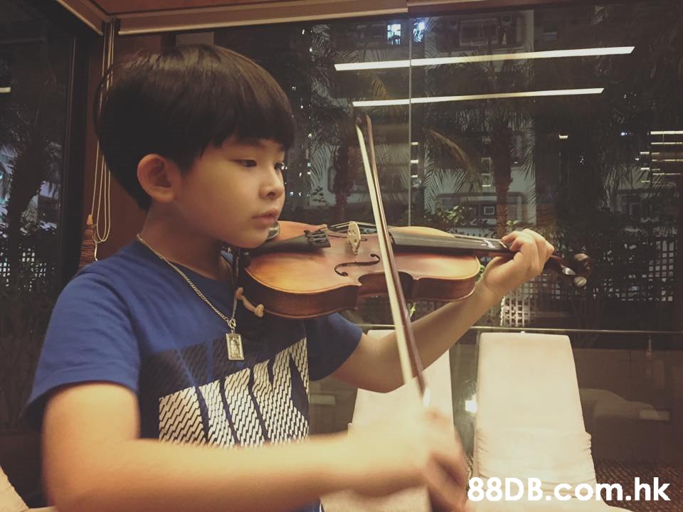 .hk  Violin,Violinist,Violist,Musical instrument,Viola