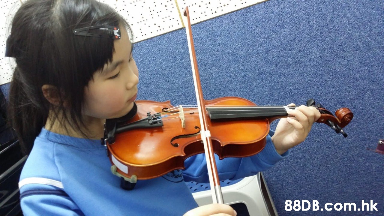 .hk  Musical instrument,Fiddle,Violist,Violinist,Viola