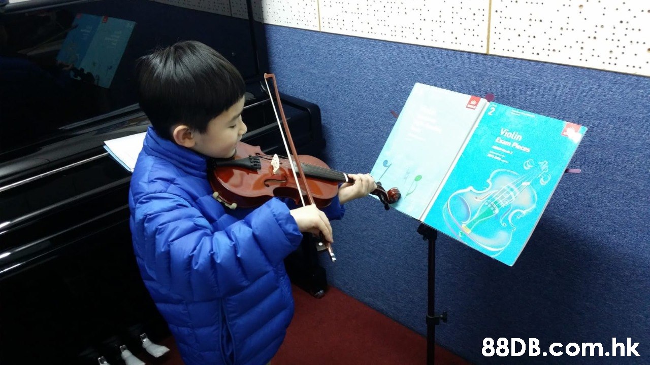 .hk  Violin,Violinist,Violist,Bowed string instrument,Musical instrument