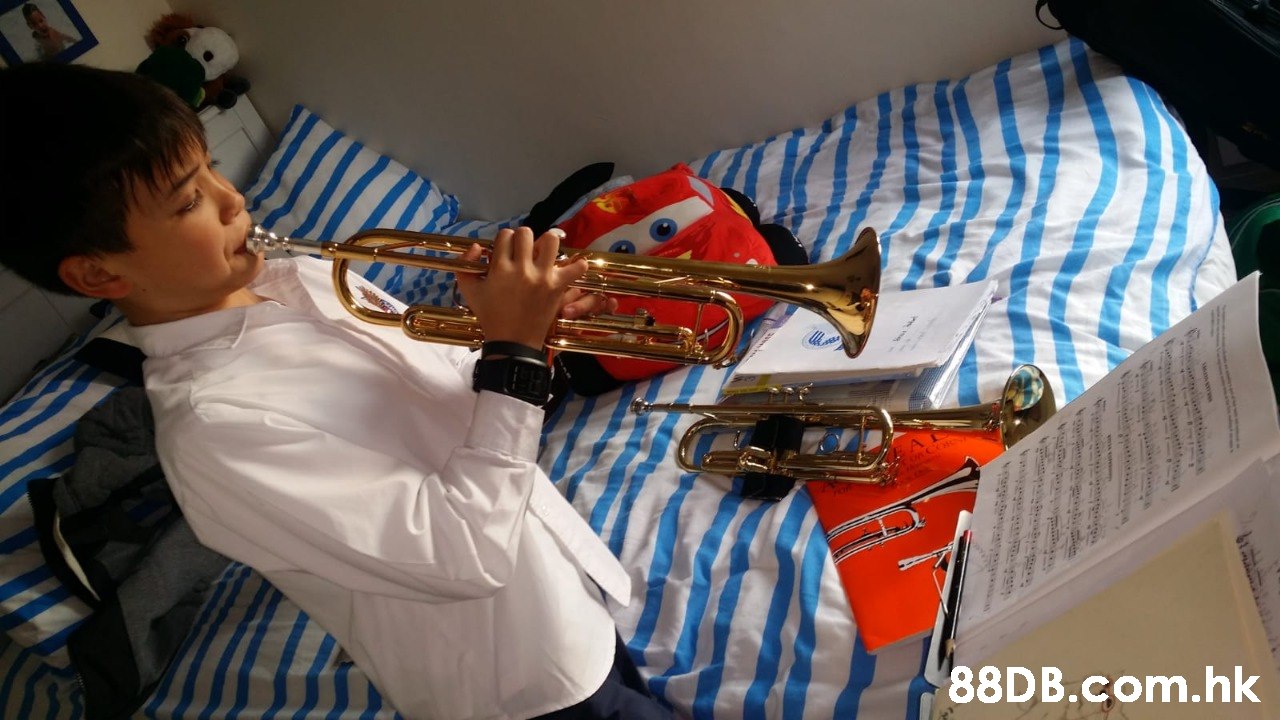 .hk  Brass instrument,Musical instrument,Trumpet,Wind instrument