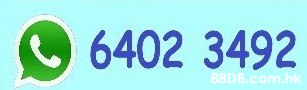 6402 3492 .hk  Text,Font,Vehicle registration plate,Brand,