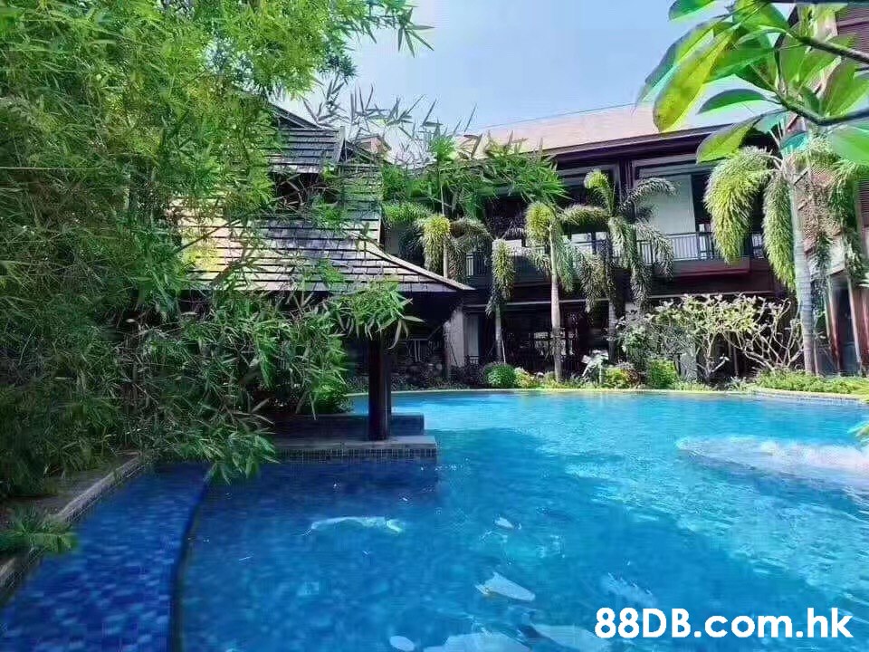 .hk  Swimming pool,Property,Resort,Natural landscape,Building