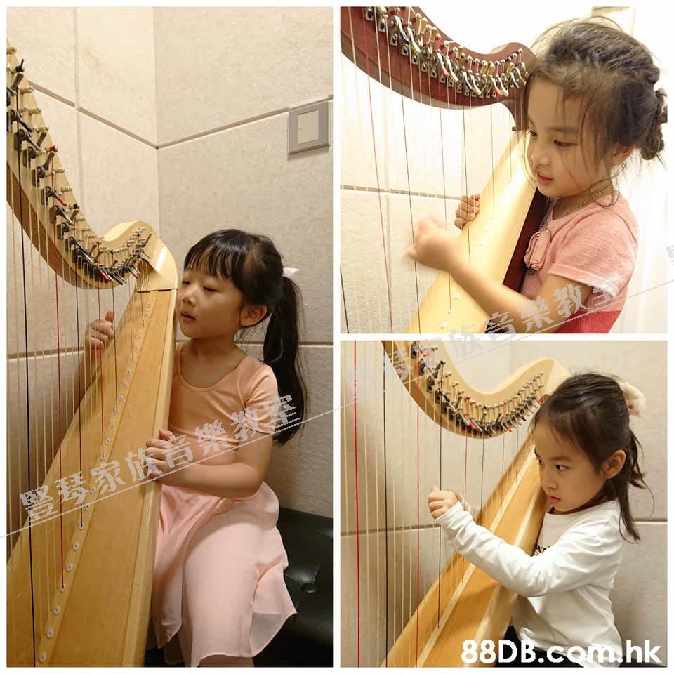 暨琴家於肯樂 .hk  Konghou,Harp,Harpist,Clàrsach,Musical instrument
